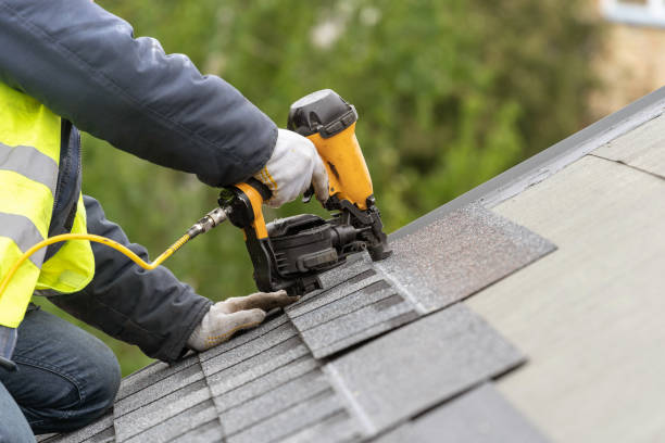 Best Roof Moss and Algae Removal  in Hazen, AR